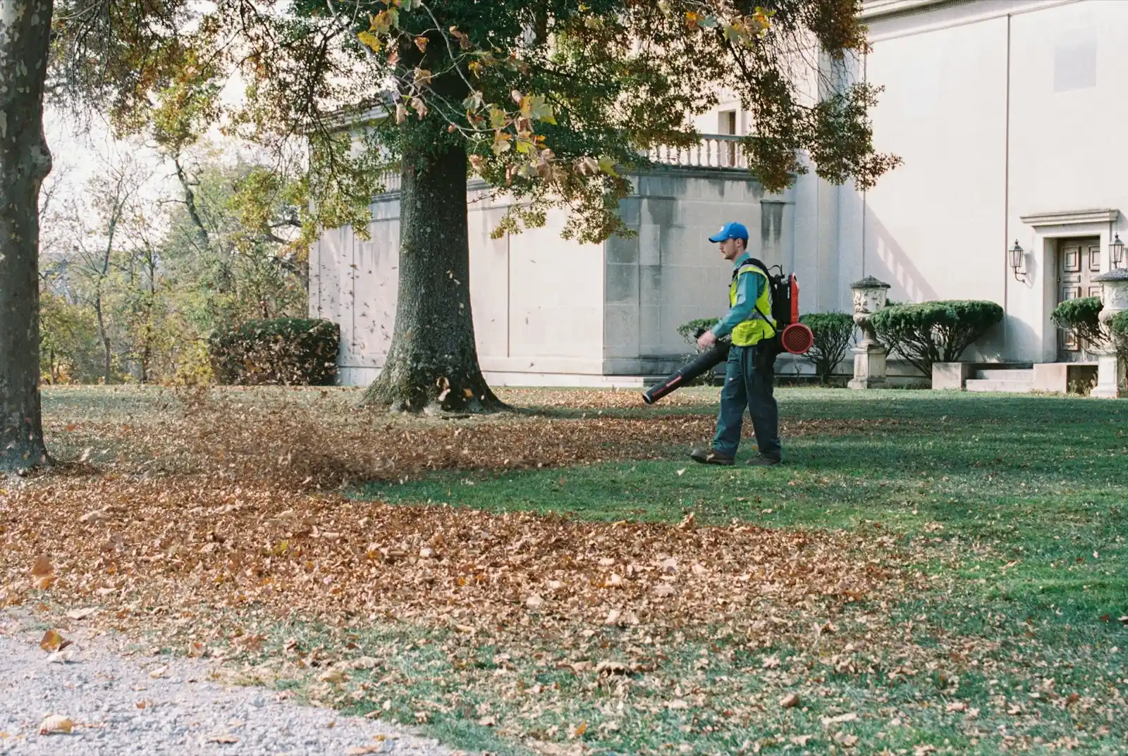 Landscaper in a safety vest clearing autumn leaves with a backpack blower