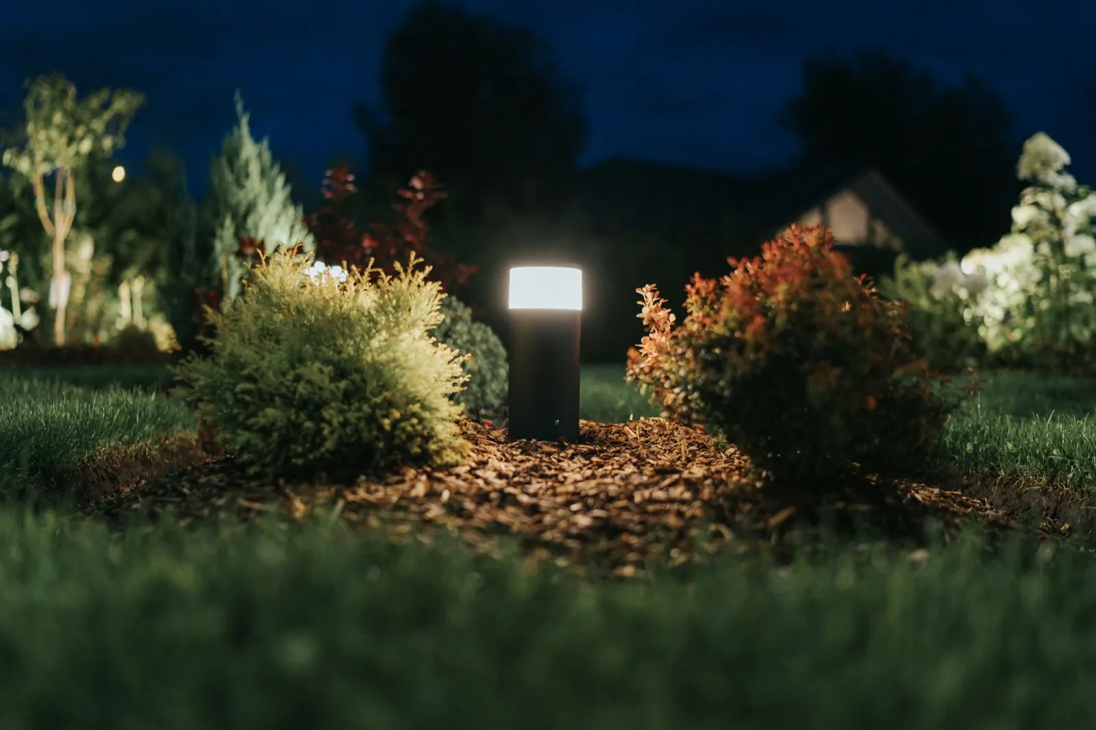 Landscape light glowing in a fresh mulch bed between shrubs at night