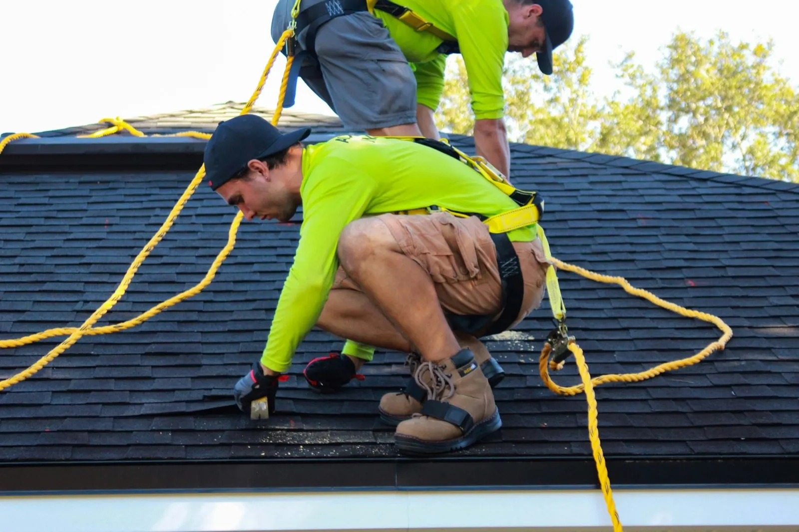 Two roofers in safety harnesses working on an asphalt shingle roof